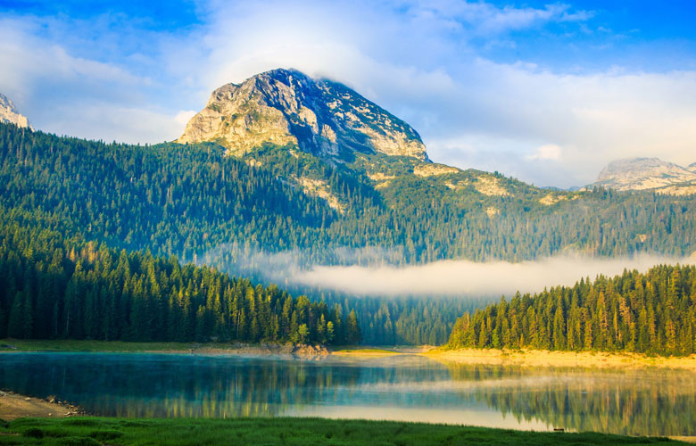 The Power of The Heart